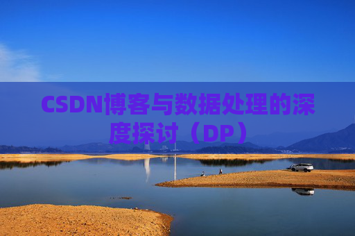 CSDN博客与数据处理的深度探讨（DP）